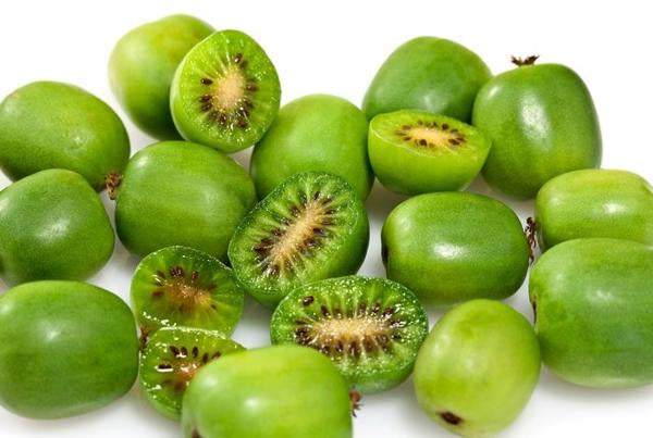 1g Issai Hardy Kiwi
