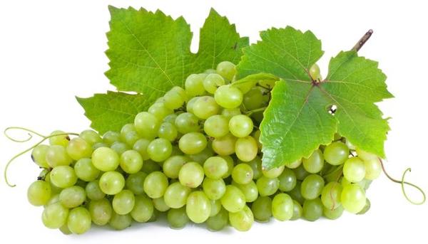 1g Niagara White Grape