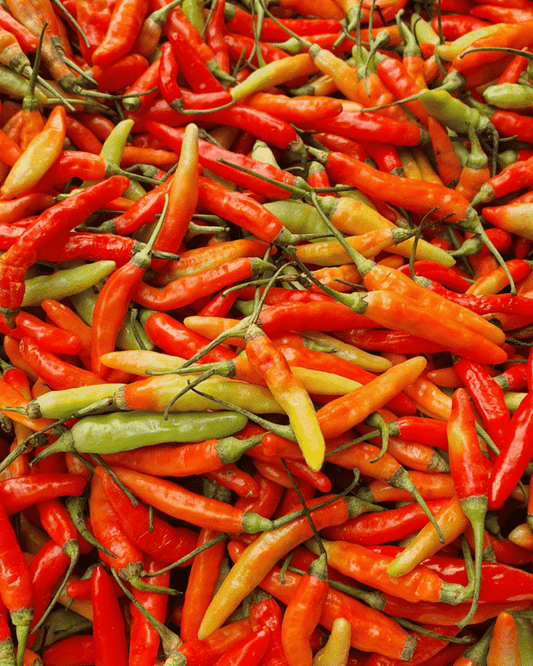 4 Inch Red Chili Pepper