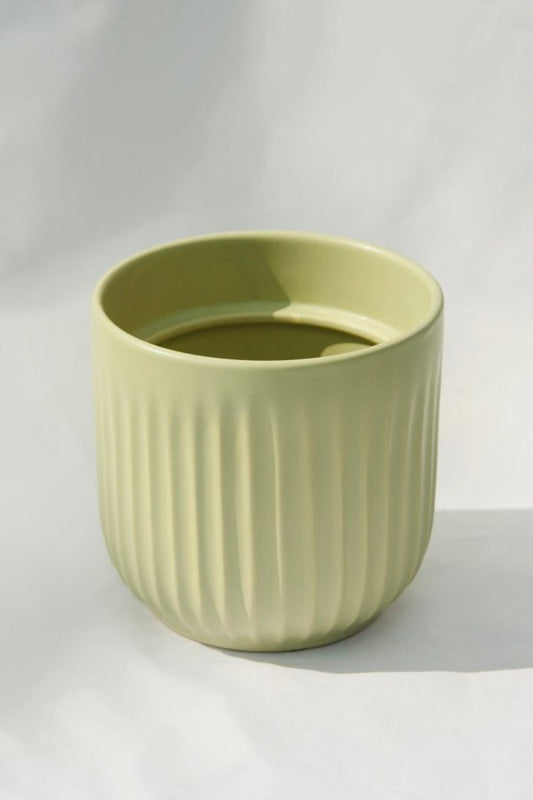 Sai 5" Sage Green Plant Pot - 5 Inch Pot