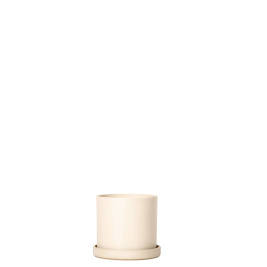 Eco Neutral Bone - 6 Inch Pot