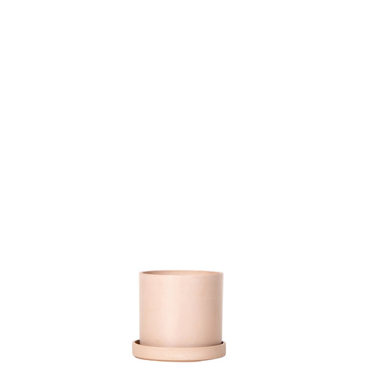 Eco Neutral Blush - 6 Inch Pot
