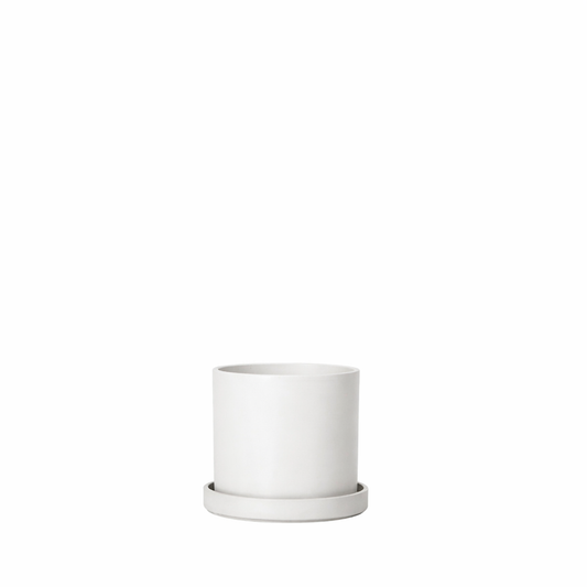Neutral Cement Pot - 6 Inch Pot