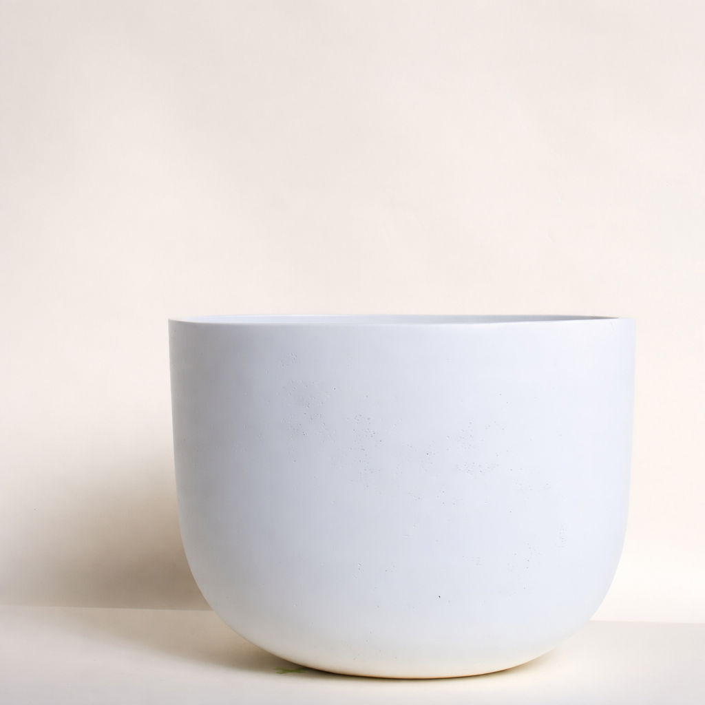 Bowl White - 10 Inch Pot