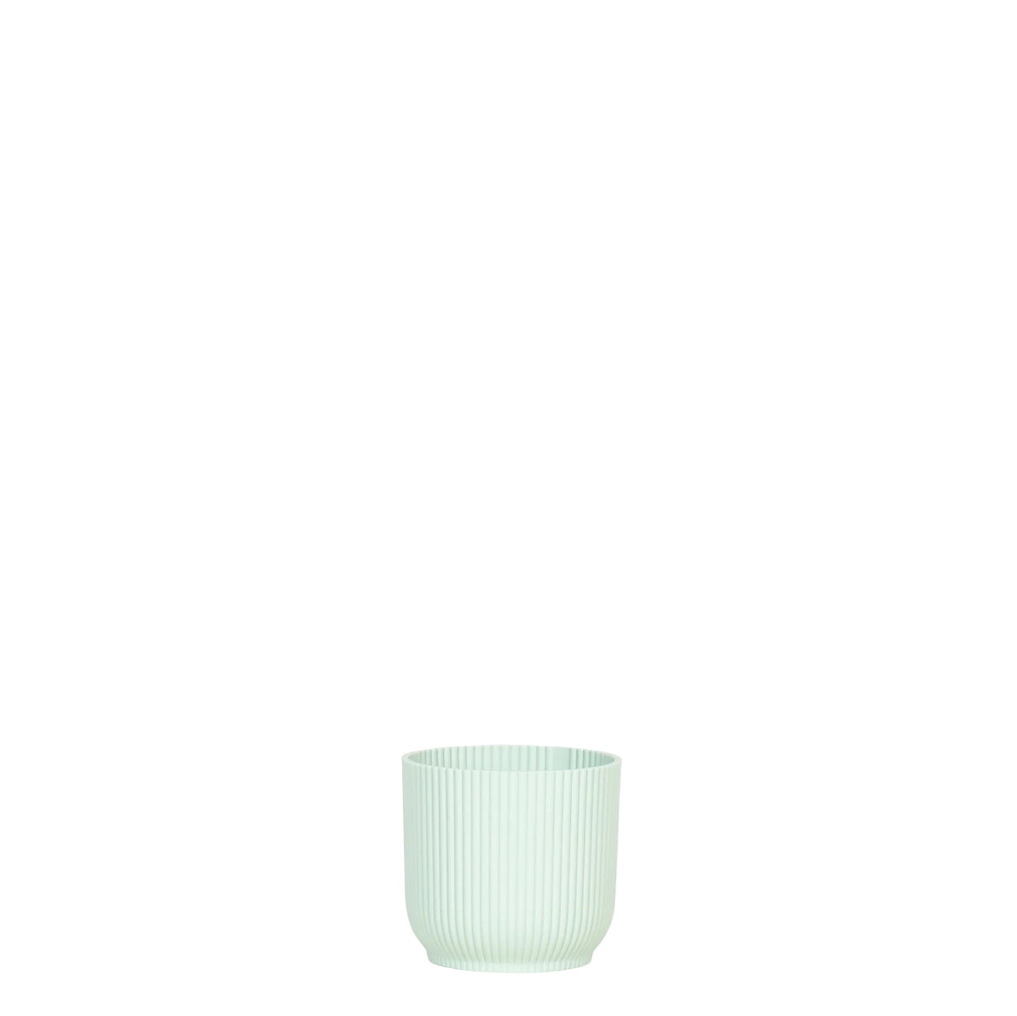 Ribbed Mint - 4 Inch Pot