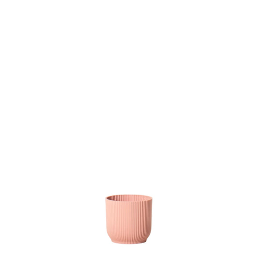Ribbed Pink - 4 Inch Pot