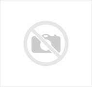 1g Hosta Francee