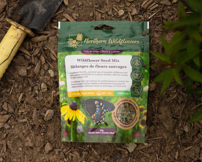 Easy to Grow Wildflower Seed Mix