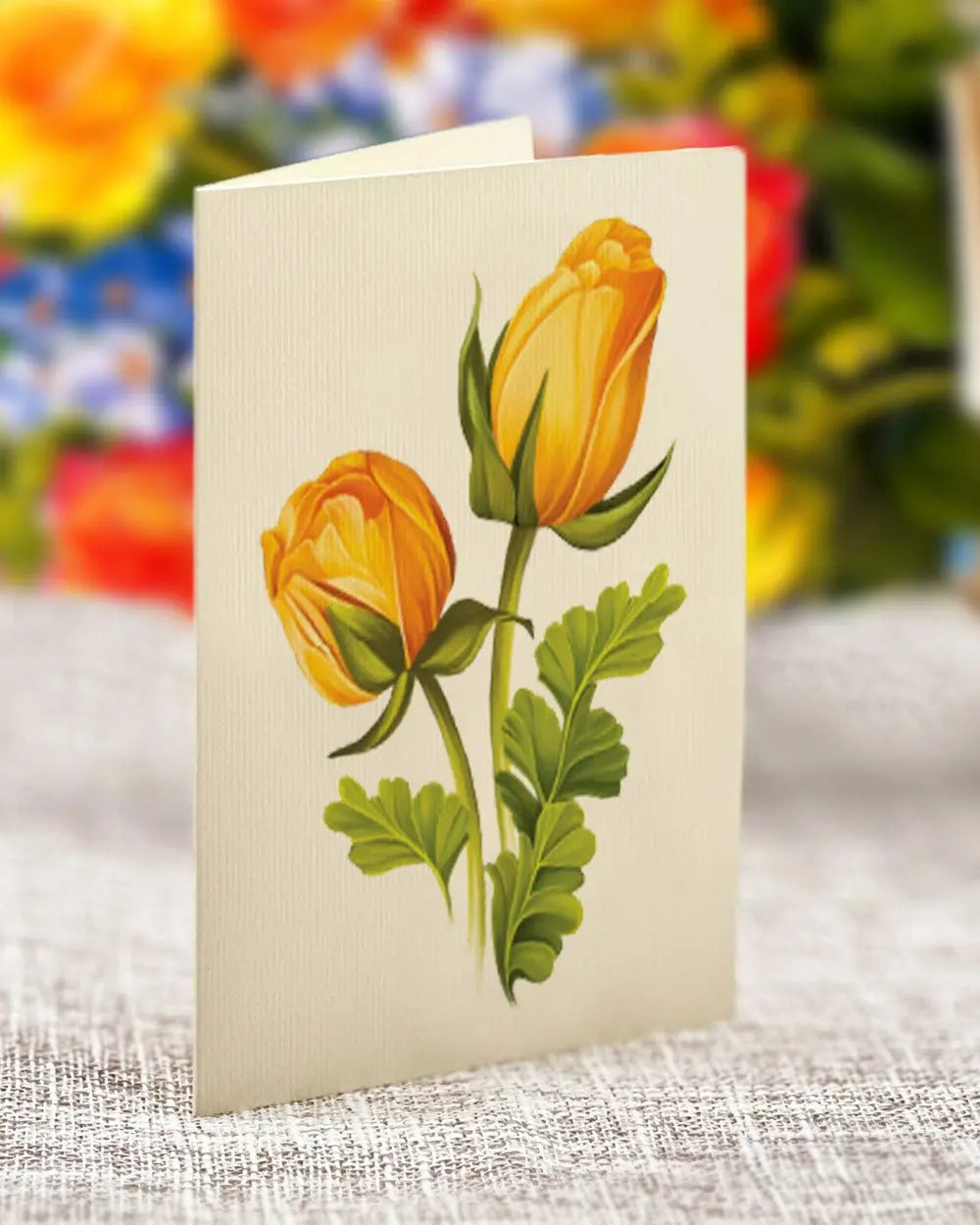 POPUP Sorbet Roses