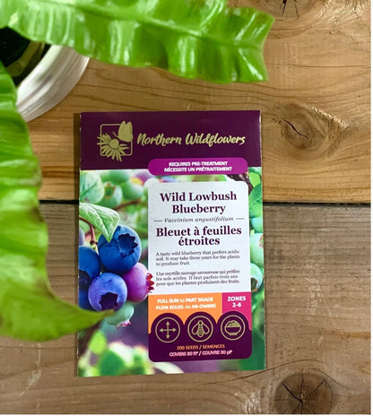 Seeds Wild Lowbush Blueberry