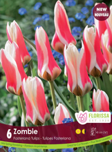 Load image into Gallery viewer, Bulbs, Tulip, Zombie
