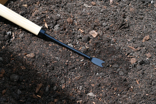 Extended Handle Dandelion Weeder