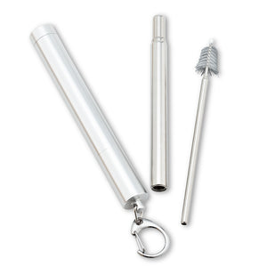 Collapsible Straw & Brush in Tube - Silver