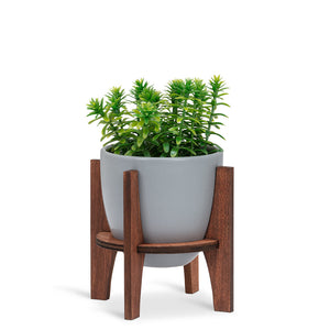 Small Pot with Wooden Stand - Gray