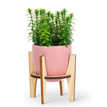 Load image into Gallery viewer, Small Pot with Wooden Stand - Pink
