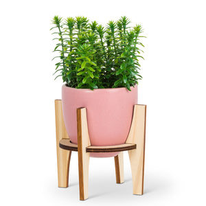 Small Pot with Wooden Stand - Pink