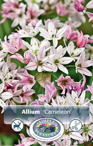 Bulbs, Allium, Cameleon