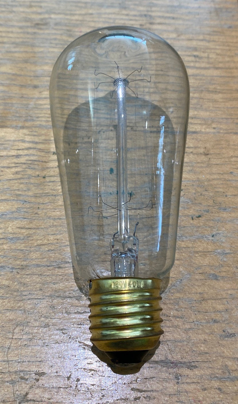 Edison Light Bulb