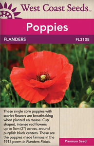 Flower Flanders' Poppies