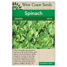 Load image into Gallery viewer, Spinach Seaside
