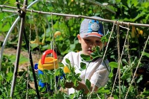 Garden to Table Camp - August 21-25 2023