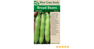 West Coast Seeds Broad Beans Windsor