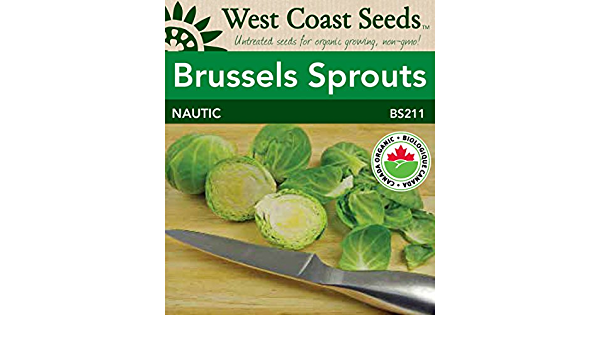 Brussels Sprouts Nautic Coated Brussels Sprouts