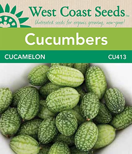 Cucumber Cucamelon