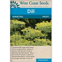Load image into Gallery viewer, Herb Dill Dukat Dill
