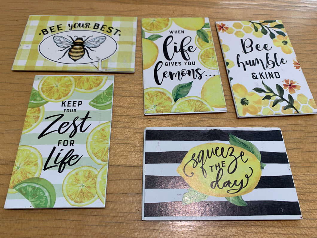 Magnet Individual Bees - 6 Assorted
