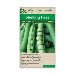 Shelling Peas Little Marvel