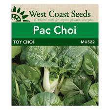 Cabbage Pac Choi Toy Choi