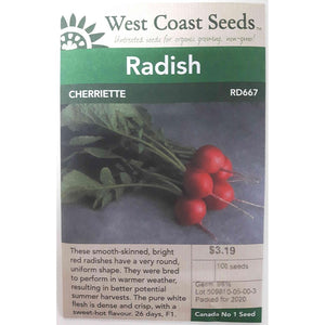 Radish Seeds Cherriette