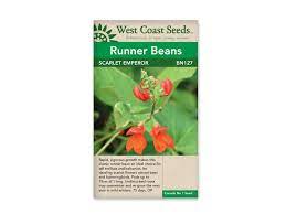 Bean Runner Beans Scarlet Emperor