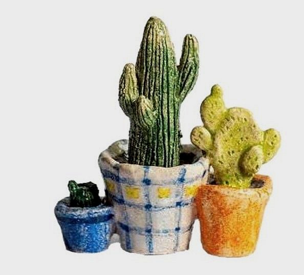 DIY Cacti and Pots Kit